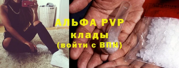 2c-b Пестово