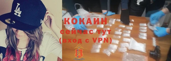 2c-b Пестово