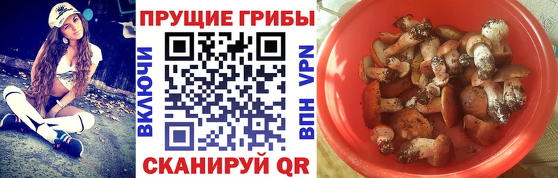 Галлюциногенные грибы прущие грибы Родники
